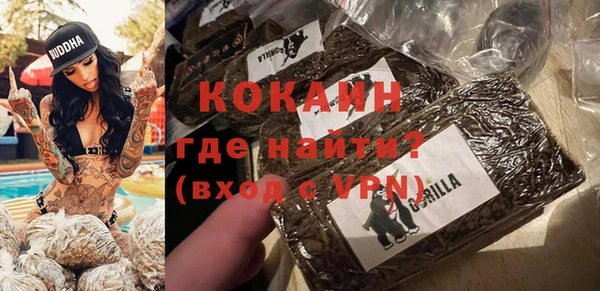 МДПВ Шадринск