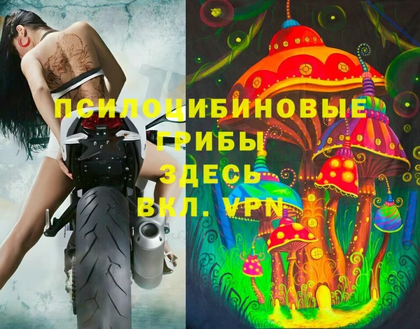дживик Ветлуга