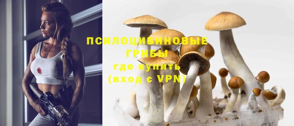 МДПВ Шадринск