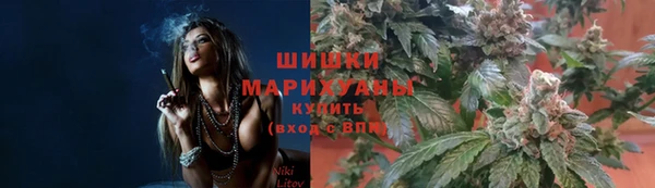МДПВ Шадринск