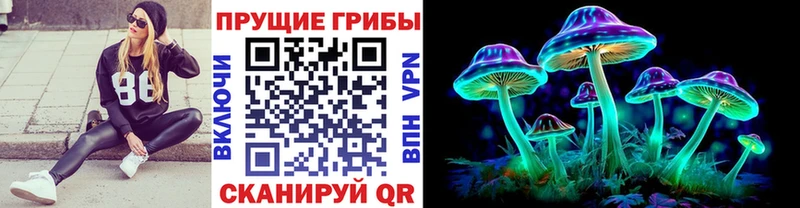 KRAKEN ССЫЛКА  Губаха  Галлюциногенные грибы Psilocybe  где найти наркотики 