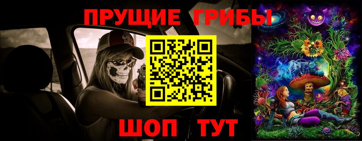 Псилоцибиновые грибы мухоморы  Губаха  Галлюциногенные грибы Psilocybine cubensis 