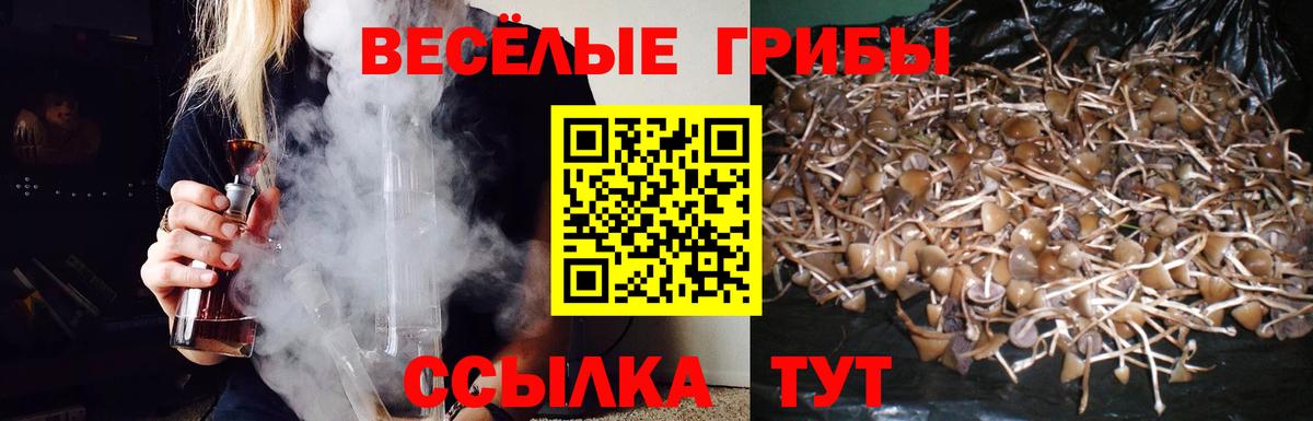 Галлюциногенные грибы Psilocybine cubensis Губаха