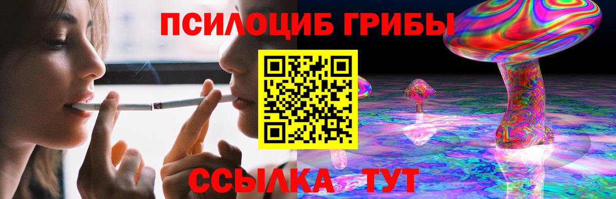Псилоцибиновые грибы ЛСД Губаха